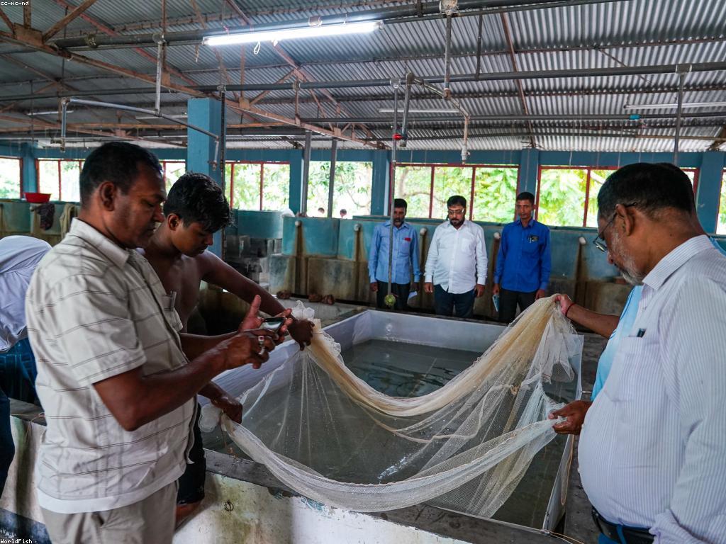 ឧបករណ៍បន្ថែមសម្រាប់បាញ់ត្រី