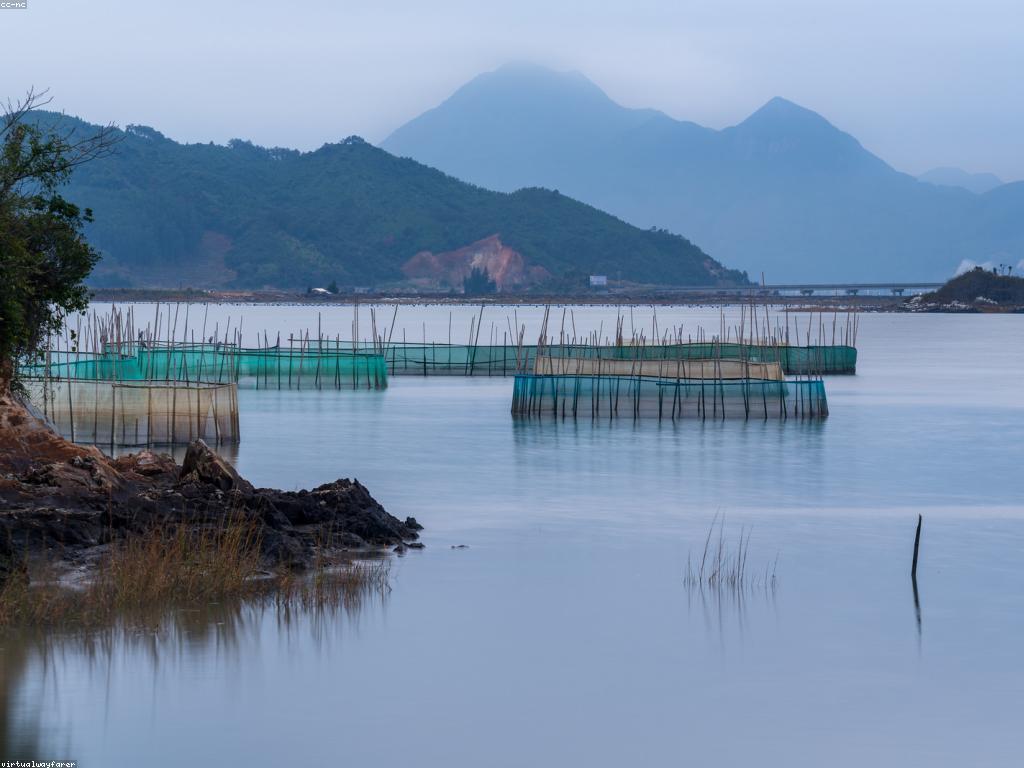 ការបង្ហាញពីការបាញ់ត្រី: បច្ចេកទេសសម្រាប់អ្នកថ្មី