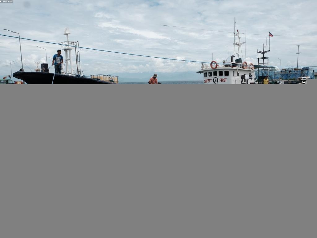 ការបង្ហាញពីសុវត្ថិភាពក្នុងការបាញ់ត្រី