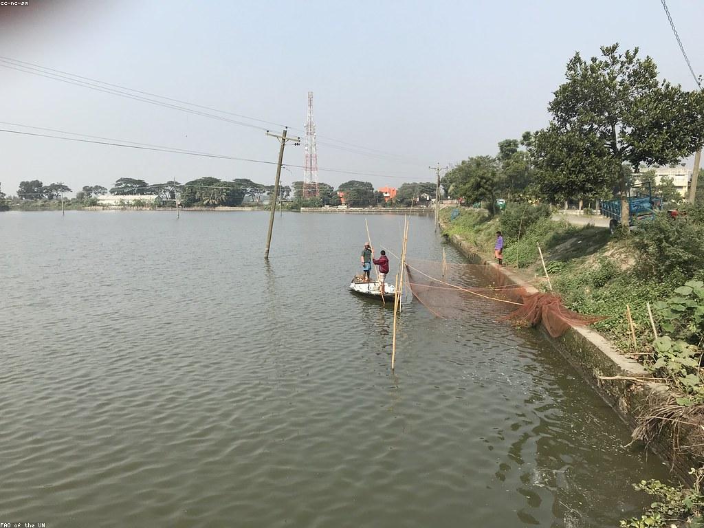 ឧបករណ៍និងបច្ចេកទេសសម្រាប់ការបាញ់ត្រី