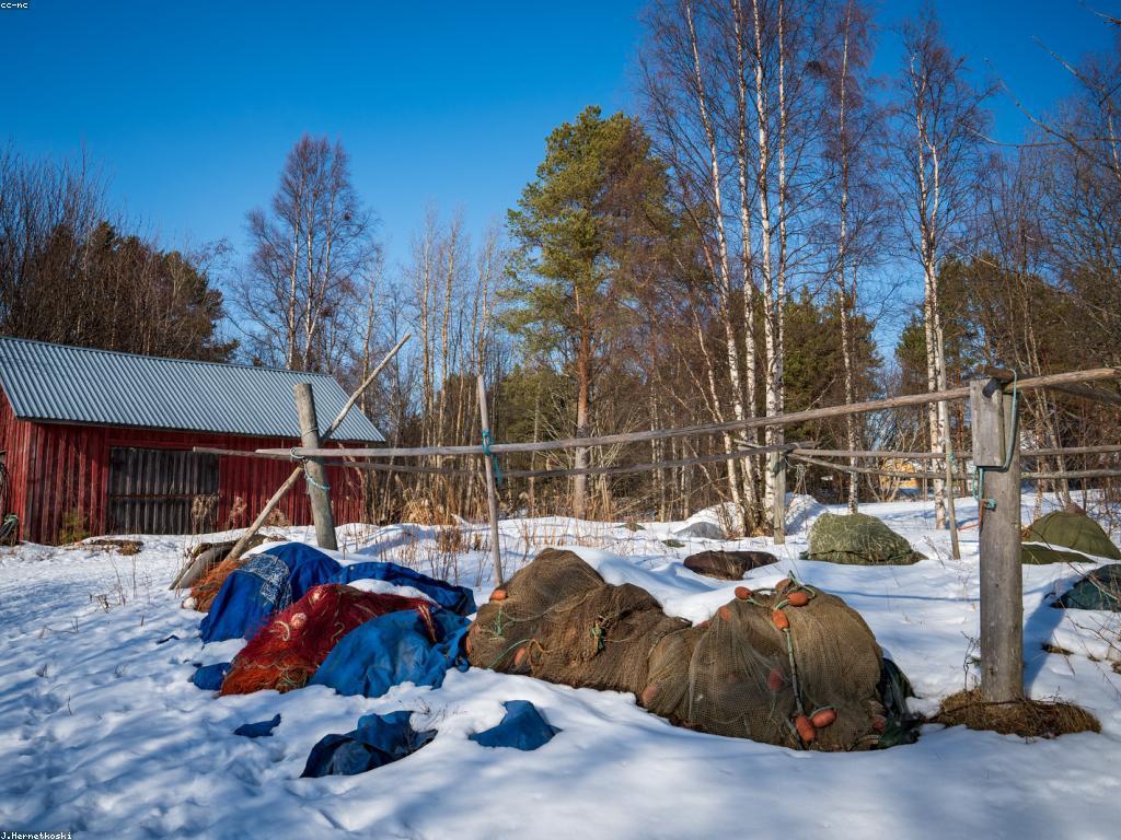 ឧបករណ៍សម្រាប់បាញ់ត្រី: ការវិចារណាសម្រាប់វិធីសាស្ត្របច្ចុប្បន្ន