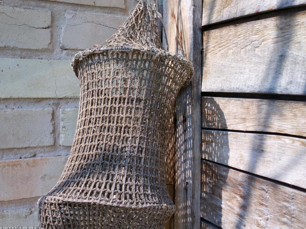 យុទ្ធសាស្ត្របាញ់ត្រី៖ ការបណ្តុះបណ្តាលសម្រាប់អ្នកចាប់ត្រីថ្មី