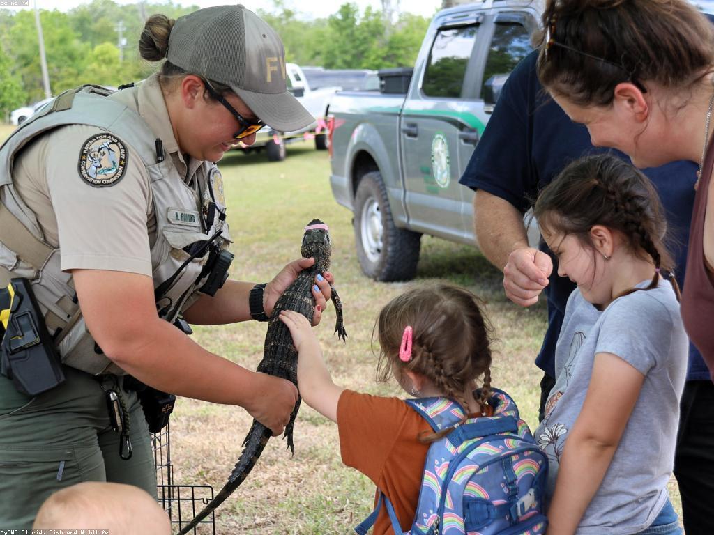 យុទ្ធសាស្ត្របាញ់ត្រី៖ បច្ចេកទេសប្រកបដោយប្រសិទ្ធភាពសម្រាប់អ្នកចាប់ត្រី