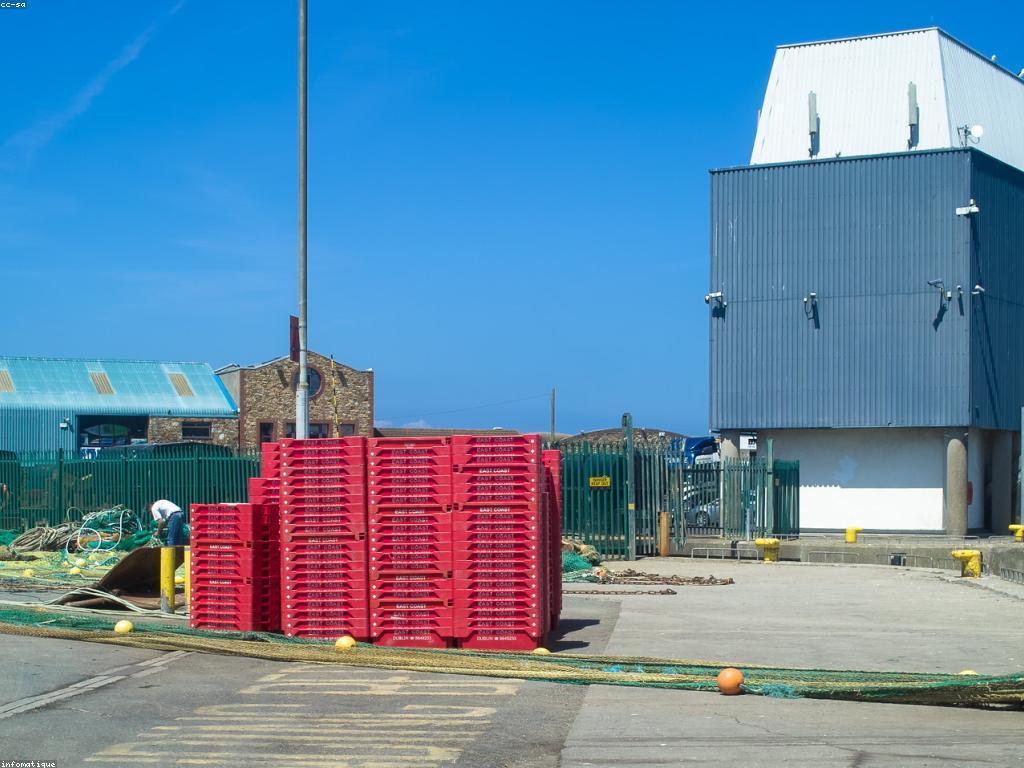 ឧបករណ៍សម្រាប់បាញ់ត្រី: របៀបជ្រើសរើសនិងប្រើប្រាស់