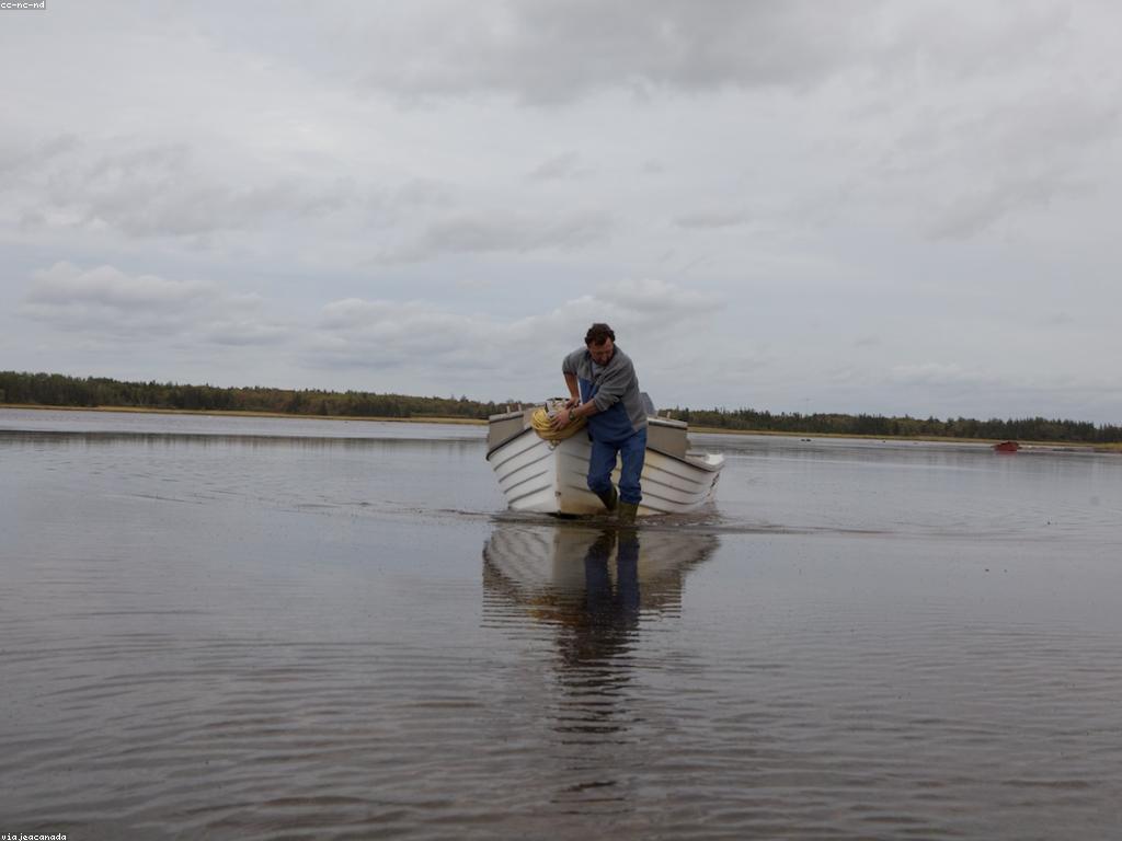 យុទ្ធសាស្ត្របាញ់ត្រី៖ បច្ចេកទេសប្រកបដោយប្រសិទ្ធភាពសម្រាប់អ្នកចាប់ត្រី
