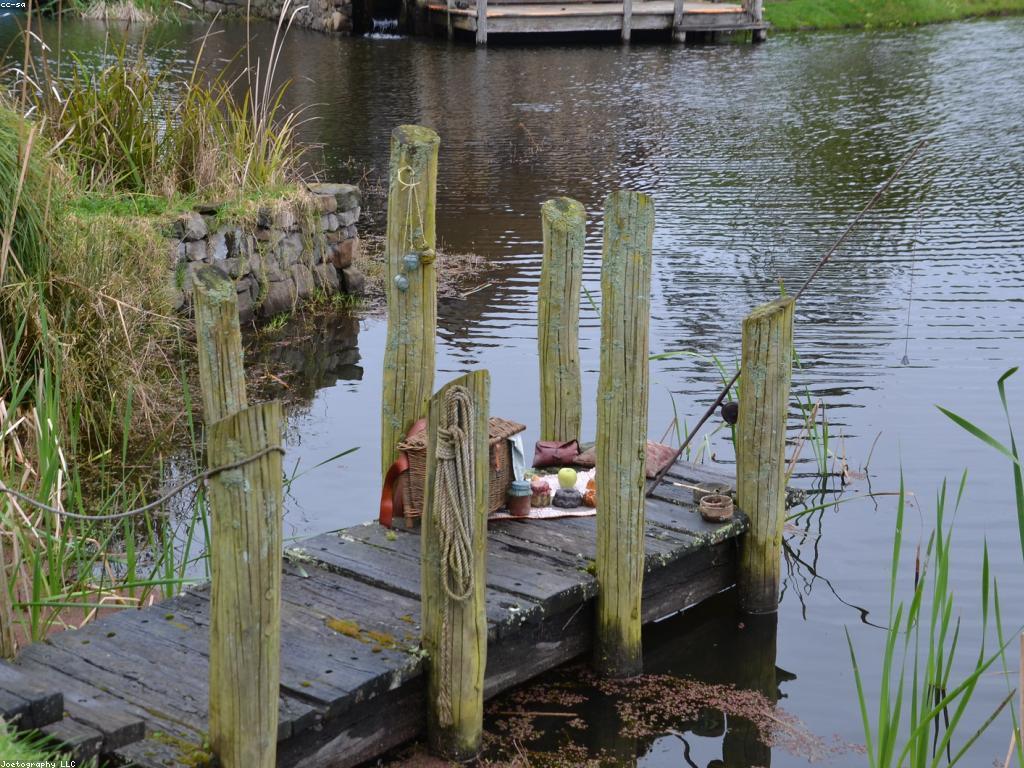 យុទ្ធសាស្ត្របាញ់ត្រី: បច្ចេកទេសការប្រើប្រាស់ឧបករណ៍