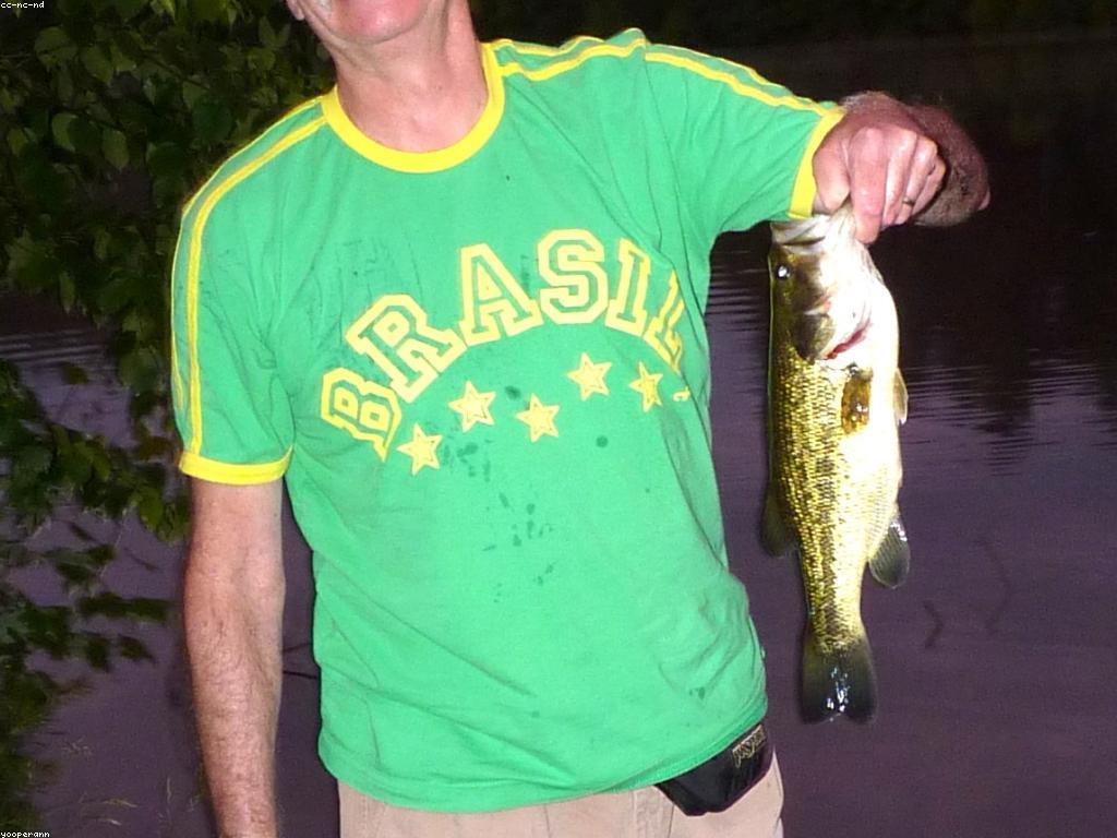 យុទ្ធសាស្ត្របាញ់ត្រី៖ ការយកចិត្តទុកដាក់និងការសម្រេចបាននូវជោគជ័យ